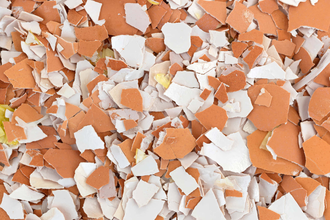 🥚 A Tojáshéj Új Élete: Kincs a Konyhából a Háztartásban